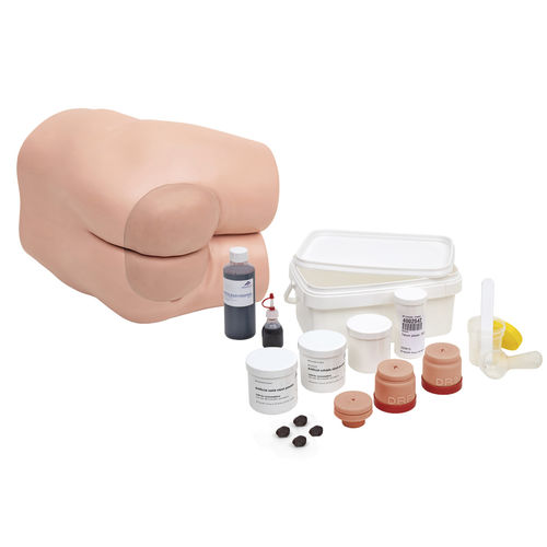 Patientensimulator für rektale Untersuchung - P16 - 3B Scientific   - für klinische Behandlungen / tragbar