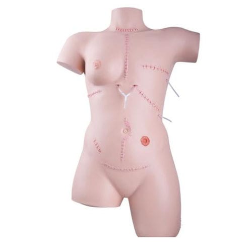 Simulator zum Nähen von Wunden - P100 - 3B Scientific   - Chirurgie / Oberkörper