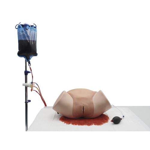 Trainingssimulator - P97P - 3B Scientific   - Geburtshilfe/Gynäkologie / Traumazustände / Frau