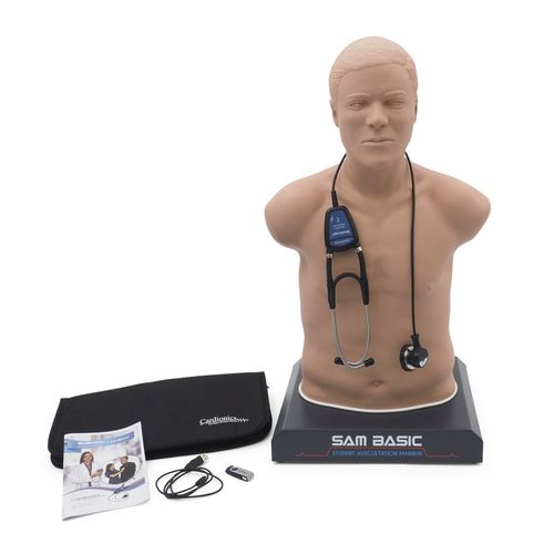 Trainingspuppe für Auskultation - SAM Basic® - 3B Scientific   - Notfall / Erwachsene / Oberkörper