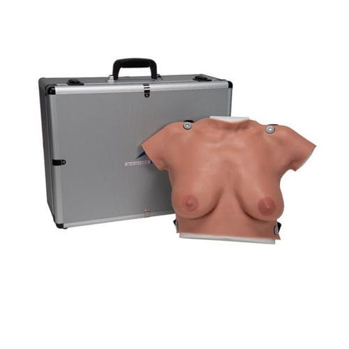 Anatomisches Modell / Brust - L50  - 3B Scientific   - für Brustabtastung / weiblich