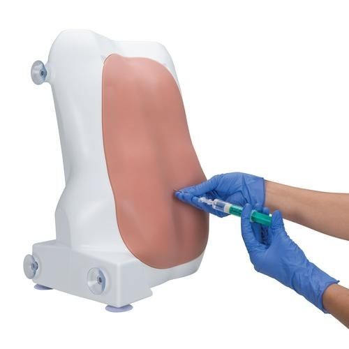 Simulator für Epiduralanästhesie - P61 - 3B Scientific   - für klinische Behandlungen / Oberkörper / haptisch