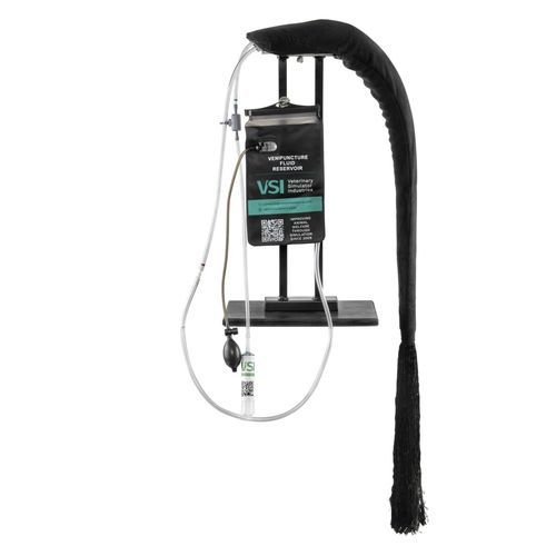 Simulator für Venenpunktion - 10255 series - 3B Scientific   - für Dystokie / Ausbildung / für Veterinärmedizin
