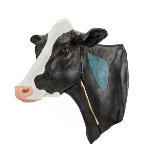 Injektionssimulator für intramuskuläre Injektionen - 10255 series - 3B Scientific   - für Venenpunktion / Ausbildung / für Veterinärmedizin