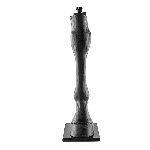 Anatomisches Modell / Knochen - 1025582 - 3B Scientific - Dickdarm / Skelett / für Palpationen