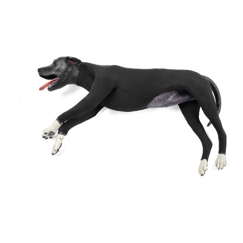 Simulator für Venenpunktion - 1025621 - 3B Scientific   - für Venenpunktion / für Reanimierung / für Veterinärmedizin