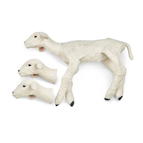 Anatomisches Modell / Ganzkörper - 102565 series - 3B Scientific - für Veterinärmedizin / Ausbildung / weiß