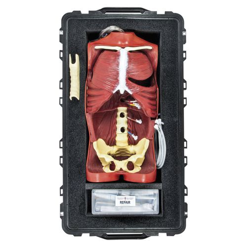 Trainingssimulator - OS3 - 3B Scientific   - Chirurgie / chirurgisch / Block