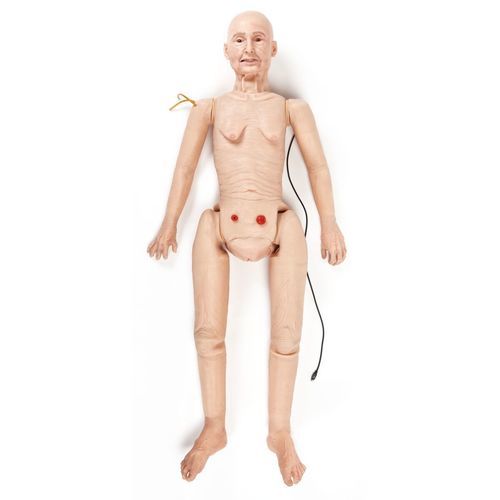Trainingspuppe für Zahnbehandlung - TERi™ - 3B Scientific   - für Krankenpflege / für Geriatrie / für Stomabehandlung