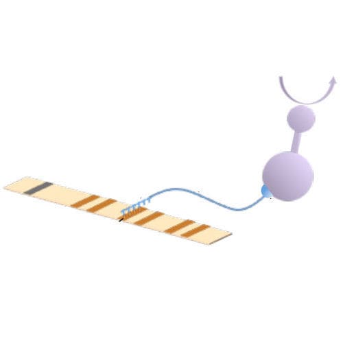 Thrombophilie-Testkit - 04-71A-20 series - AB Analitica  - V-Faktor-Mutationen / für PCR