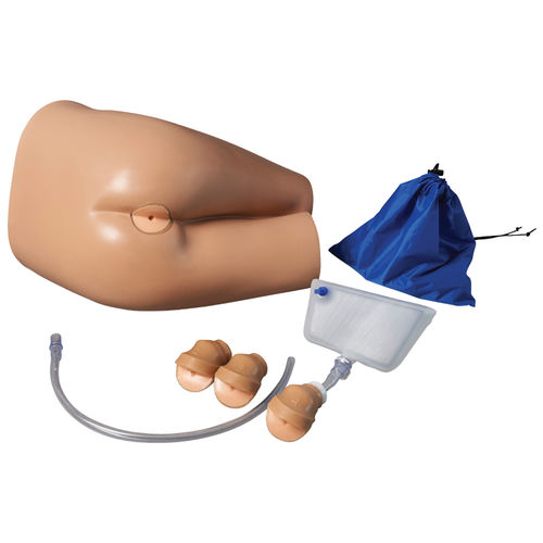 Trainingssimulator - AR421 - Adam, Rouilly - für rektale Palpation / Extraktion / für Allgemeinpflege