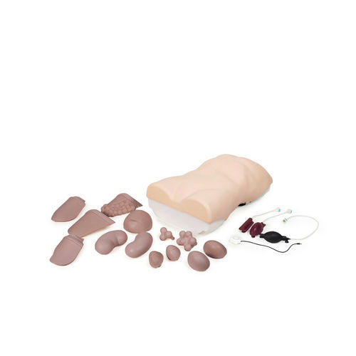 Simulator für Auskultation - ALT60000 - Adam, Rouilly - für Palpationen / für klinische Behandlungen / für Abdominalchirurgie