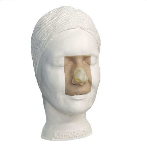 Trainingssimulator - AR361 - Adam, Rouilly - für klinische Behandlungen / Chirurgie / Kopf