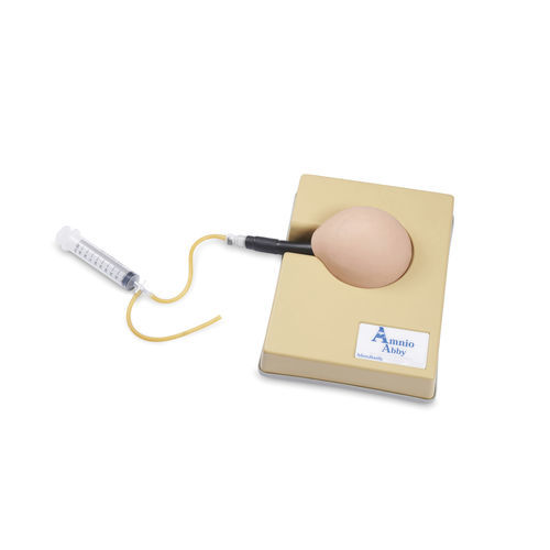 Echogestützter Simulator - Amnio Abby® - Adam, Rouilly - Ausbildung / Monitoring / für klinische Behandlungen
