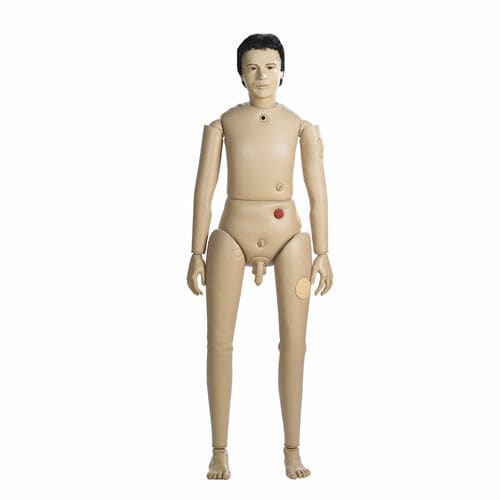 Trainingspuppe für Krankenpflege - AR2000    - Adam, Rouilly - für Tracheotomie / für intramuskuläre Injektion / Ernährung
