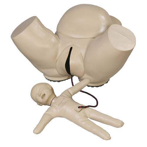 Trainingssimulator - AR50S - Adam, Rouilly - für Palpationen / für Entbindungen / Geburtshilfe/Gynäkologie