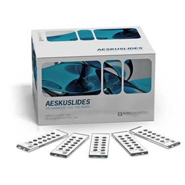Testkit / endomysiale Antikörper - AESKUSLIDES® EMA - AESKU.GROUP - Autoimmunerkrankungen / A-Immunoglobuline / IgG