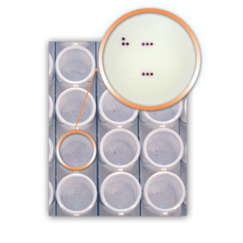 Testkit für Infektionskrankheiten - DA4270 - AID , Autoimmun Diagnostika   - HPV / für papillomavirus humanis / Rachen