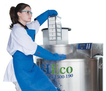 Laborgefrierschrank - MVE HEco™ series - Chart Industries - mit Safe / Kryogen