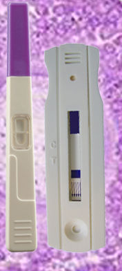 De : Ovulationsschnelltest - 02-254 series - Alfa Scientific Designs - LH / Urin / für Kliniken