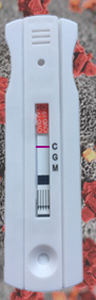 COVID-19-Testkit - Instant-view® - Alfa Scientific Designs - IgG / IgM / SARS-COV-2