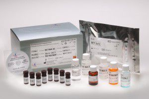 VB12-Testkit - FMABT100 - Axis-Shield PLC  - Pharmakologie / Blut / Serum