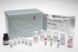 Testkit für Sepsis - FMHBP100IUO - Axis-Shield PLC  - für Infektionskrankheiten / Apoptose / hepatinbindendes Protein