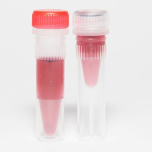 Antikörper - EM.DAS series - BBI Enzymes  - für ELISA / IgG / tierische Herkunft