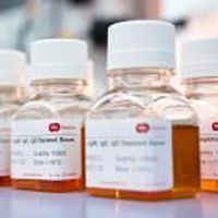 Serum-Reagenz - SF505-2 - BBI Enzymes  - klinische Chemie / für Forschungszwecke / flüssig