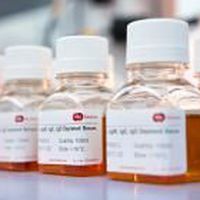 Serum-Reagenz - SF231-7 - BBI Enzymes  - klinische Chemie / für Forschungszwecke / flüssig