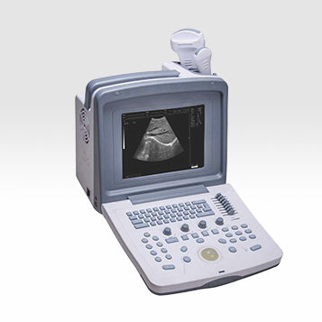 Tragbares Ultraschallgerät - BU-907 - Biocare   - für Multifunktions-Ultraschall / Schwarz-Weiß / Nadelführung
