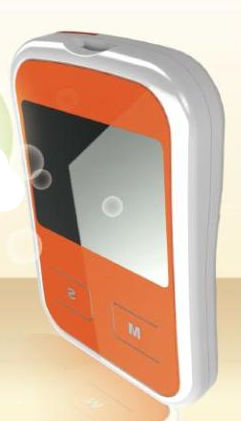 Multi-Parameter-Teststreifenlesegerät - EasySure® GCU  - Bioptik Technology - Cholesterin / Glukose
