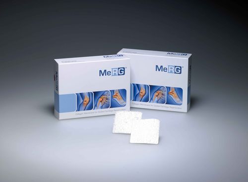 Matrix / Orthopädische Chirurgie - MERG® - BiOTECK - Collagenbeschichtung / resorbierbar