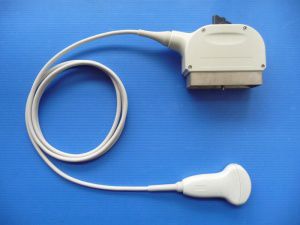 Konvexe Ultraschallsonde - GC35C  - Broadsound Corporation  - Bauch / Geburtshilfe/Gynäkologie