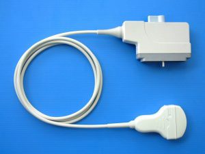 Konvexe Ultraschallsonde - M5C50EPX8  - Broadsound Corporation  - Bauch / Geburtshilfe/Gynäkologie