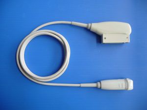 Phased-Array-Ultraschallsonde - GP3SRS  - Broadsound Corporation  - Herz