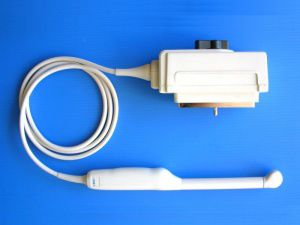 Endokavitär-Ultraschallsonde - AL5E12A  - Broadsound Corporation  - transrektal / transvaginal