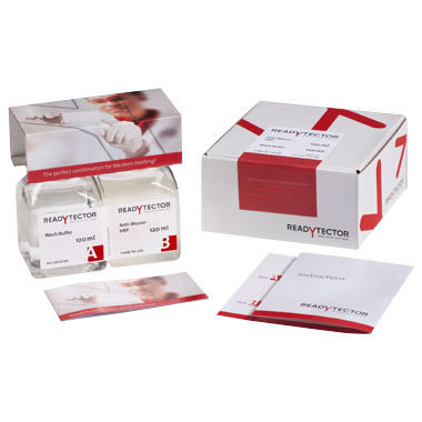 Reagenzkit / als Lösung - ReadyTector®  - CANDOR Bioscience   - Waschstopfen / für Western Blot