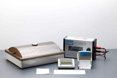 Manuelles Elektrophoresesystem - CELL - Start Project  - für Proteine / zur Immunofixierung / Tisch