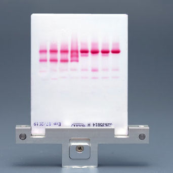 Reagenz / als Lösung - CELL - Start Project  - für Elektrophorese / Diagnose / Hämoglobin