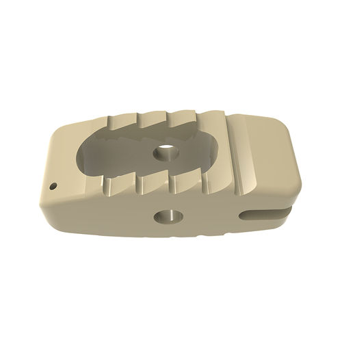 LWS-Zwischenwirbelimplantat - BULLET - Waston medical - dorsaler Zugang