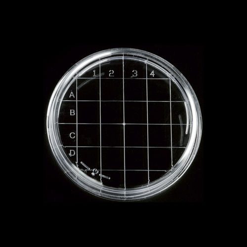 Polystyrol-Petrischale - 2002 series - Deltalab - Netzteilung