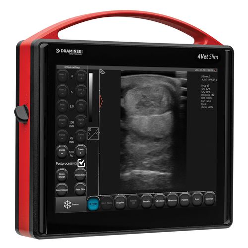 Tragbares Tierärztliches Ultraschallsystem - 4Vet Slim - Dramiński - Multifunktion / Schwarz-Weiß