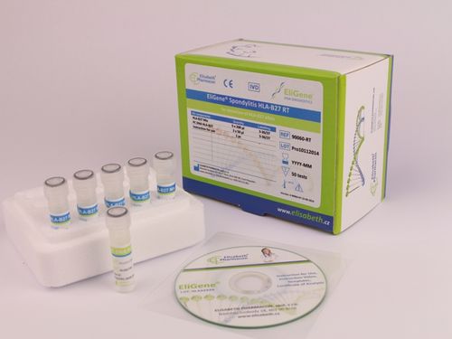 HLA-B27-Testkit - EG-90060-RT - Elisabeth Pharmacon spol  - SpA / Blut / für Echtzeit-PCR