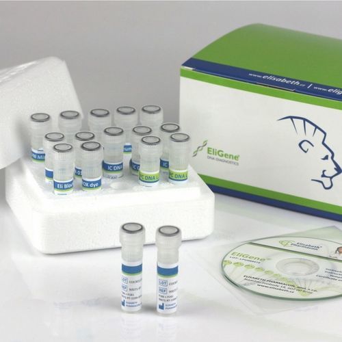 COVID-19-Testkit - EliGene® - Elisabeth Pharmacon spol  - für Wangenabstriche / SARS-COV-2 / für Kliniken