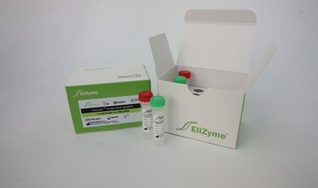 Enzyme-Reagenzkit - EliZyme™ Probe MIX - Elisabeth Pharmacon spol  - Farbstoff / für Echtzeit-PCR / für die Amplifikationsreaktion
