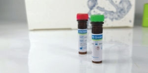 Reagenz / als Lösung - EliDNA PS Green - Elisabeth Pharmacon spol  - Farbstoff / für Elektrophorese / DNA