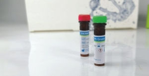 Farbstoff Reagenz - EliDNA PS Green Plus - Elisabeth Pharmacon spol  - Farbstoff / für Elektrophorese / DNA