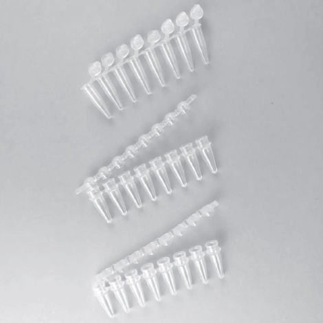 Labor-Reagenzglas - AP0802FFC series - Elisabeth Pharmacon spol  - für PCR / konisch / Polypropylen