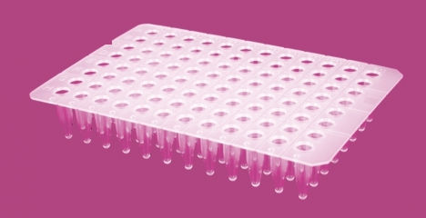 Mikroplatte für PCR - AP9602CNS series - Elisabeth Pharmacon spol  - 96 Well